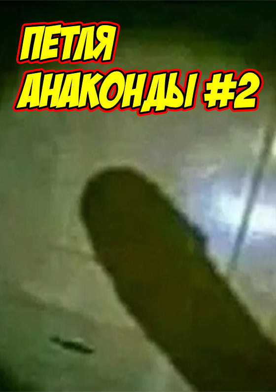 Петля анаконды #2